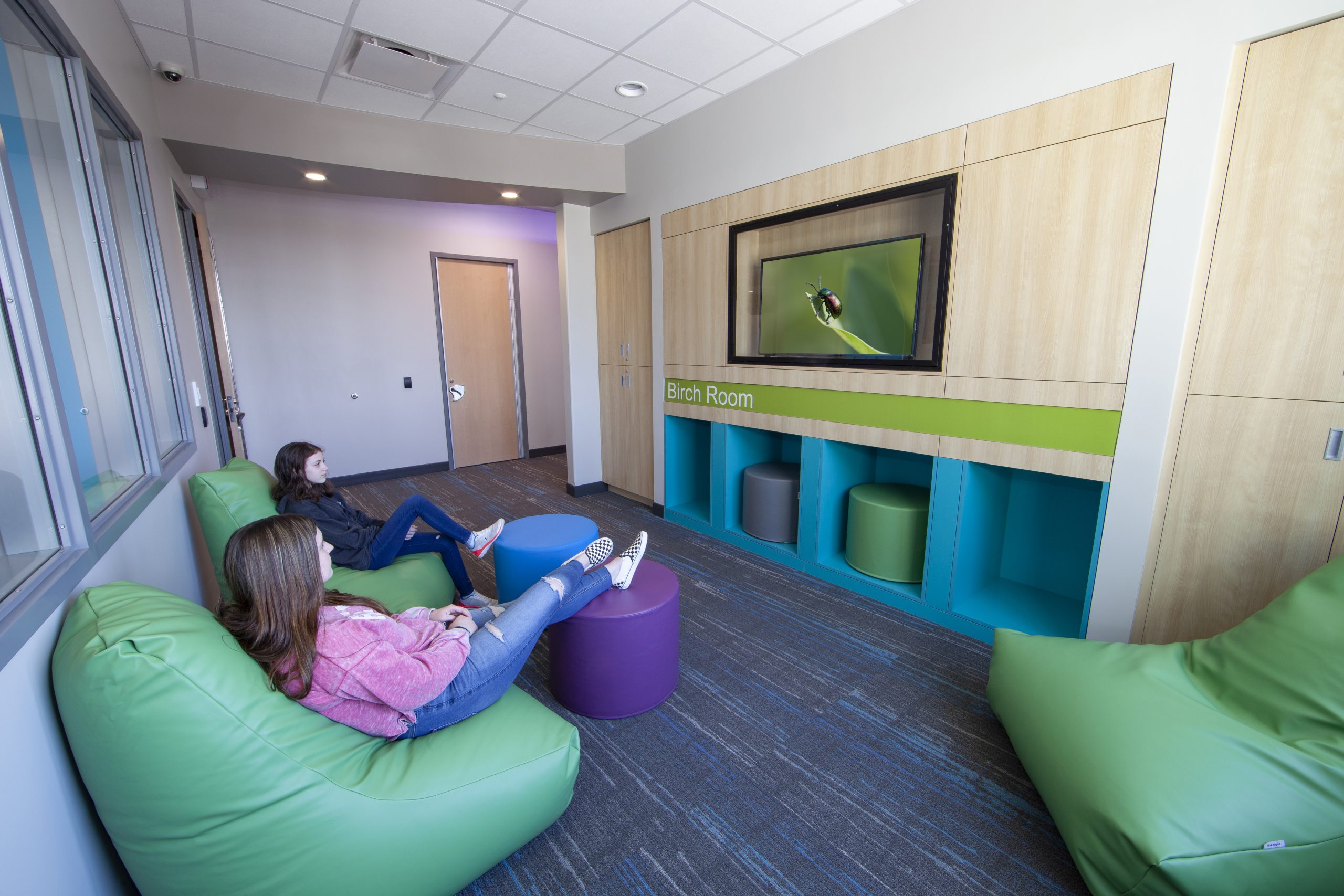 Child Adolescent Behavioral Health Services Architecture Lomonaco 